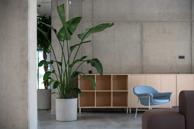 image image - 2025-11-26T132259.346.jpg